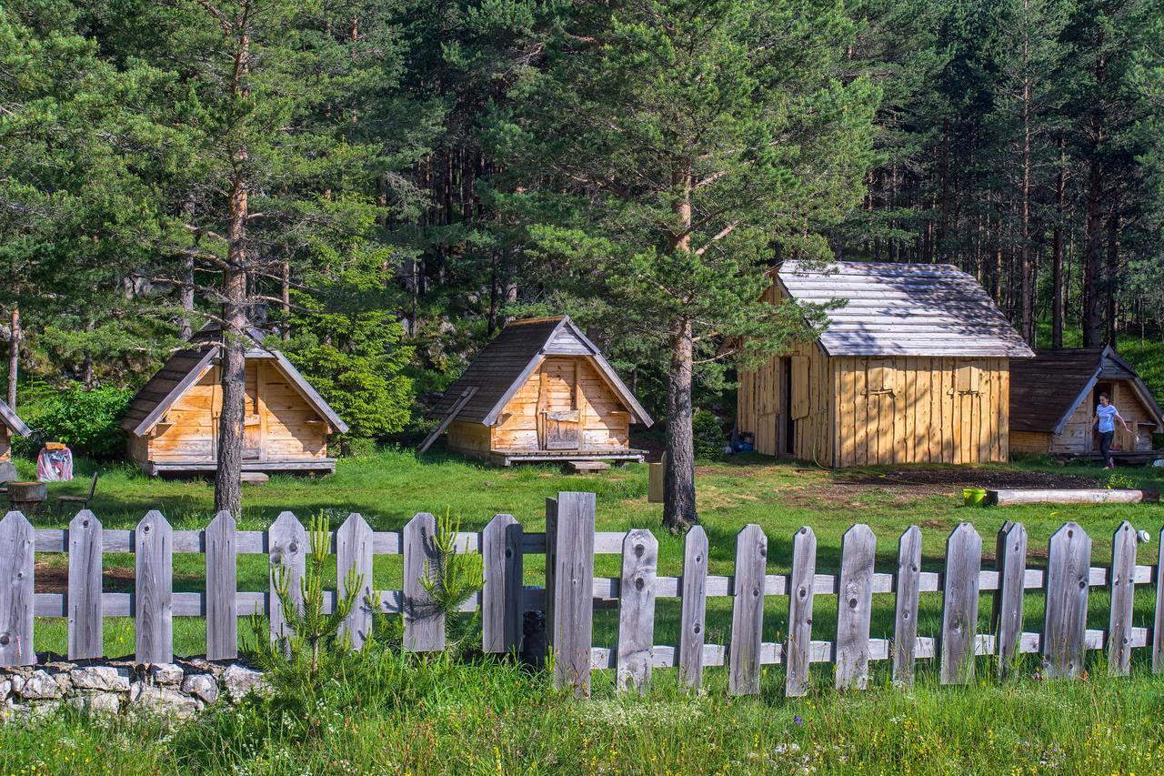 Eco Camp Pod Gorom *